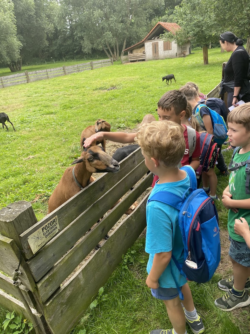 Návštěva farmy a hlazení kozy